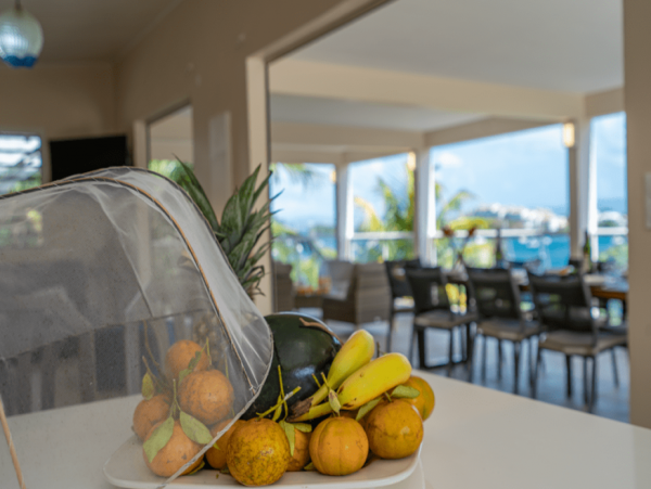 Martinique Home 1027213