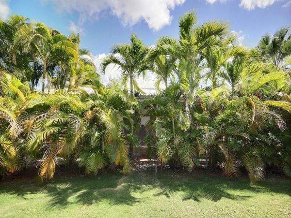 Martinique Home 1027217