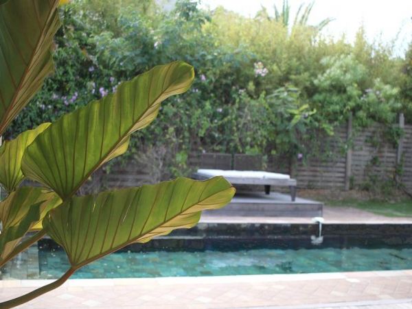 Martinique Home 1027217