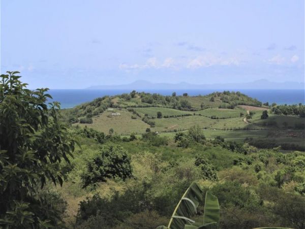 Martinique Home 1027222