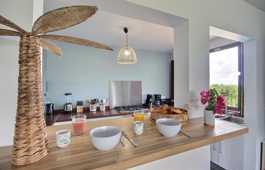 Martinique Home 1027225