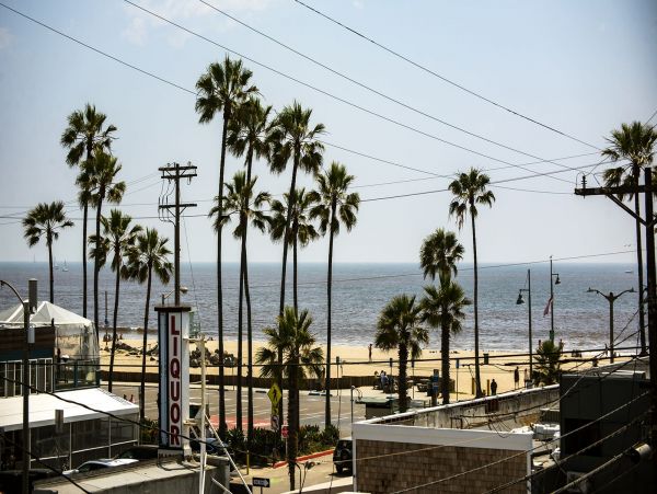 Venice Beach Home 1027227