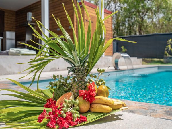 Martinique Home 1027229