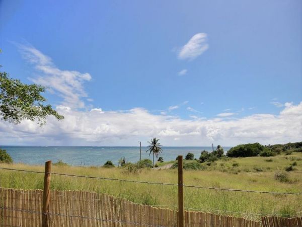 Martinique Home 1027237