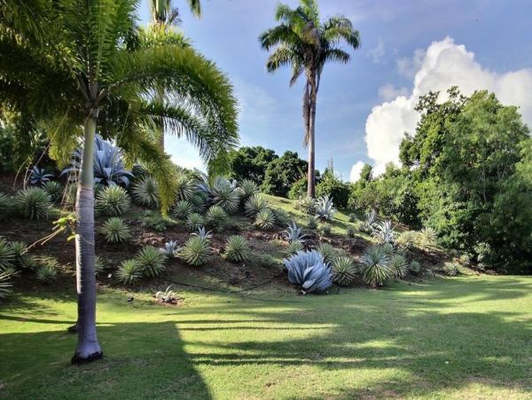 Martinique Home 1027238