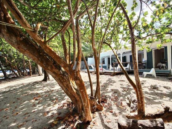 Martinique Home 1027244