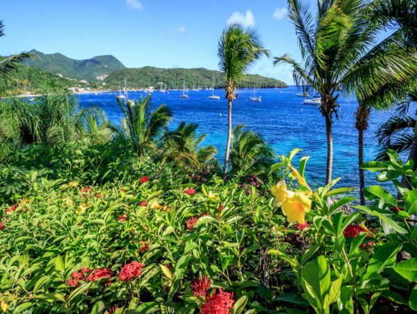 Martinique Home 1027246