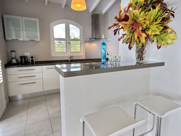 Martinique Home 1027252