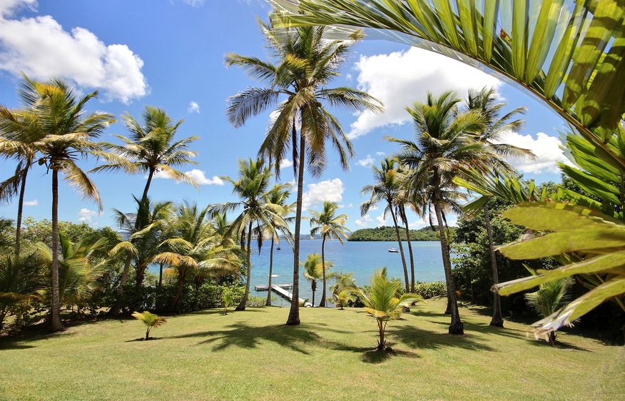 Martinique Home 1027254
