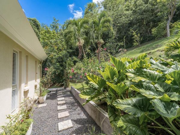 Martinique Home 1027256