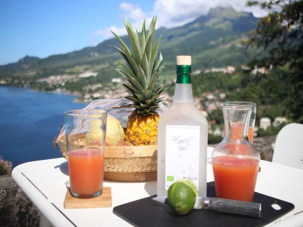 Martinique Home 1027259