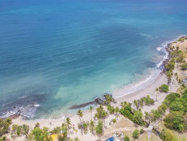 Martinique Home 1027266