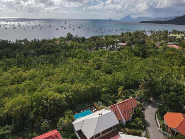 Martinique Home 1027267