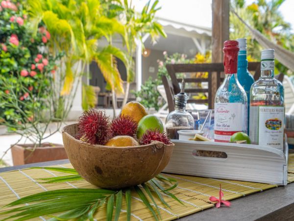 Martinique Home 1027270