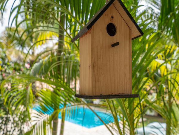Martinique Home 1027270