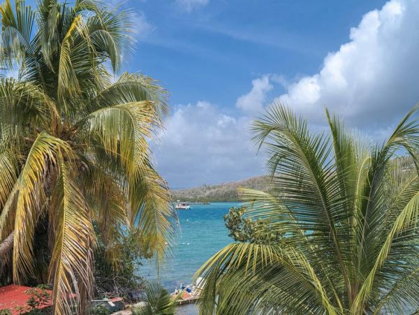 Martinique Home 1027273