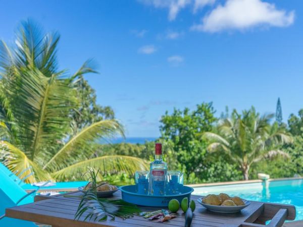 Martinique Home 1027276