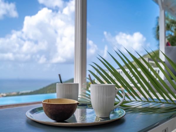 Martinique Home 1027279