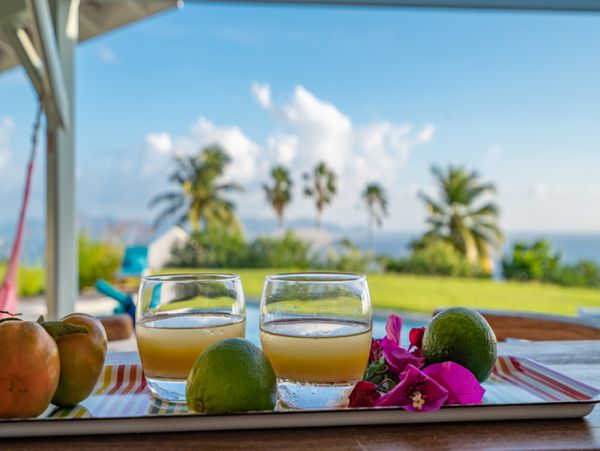 Martinique Home 1027281