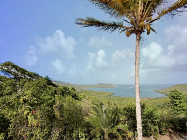 Martinique Home 1027282