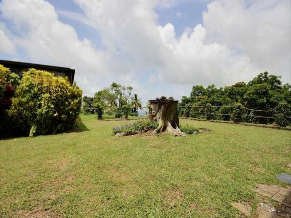 Martinique Home 1027287
