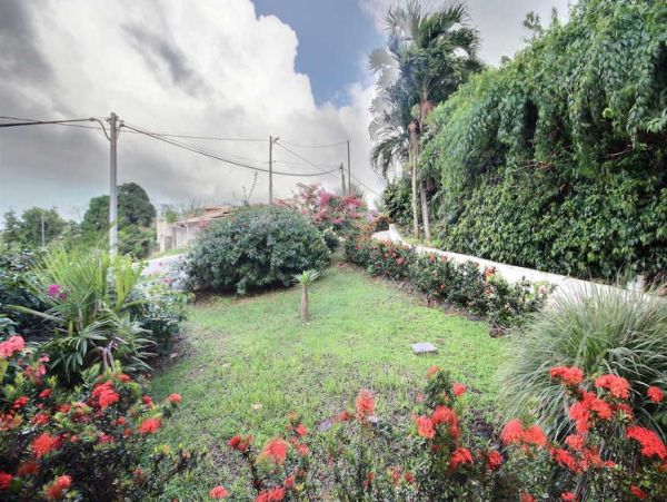 Martinique Home 1027293
