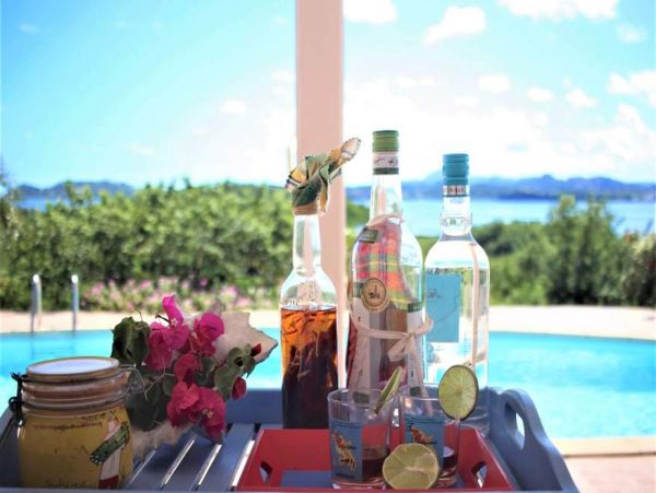 Martinique Home 1027294