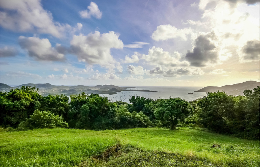 Martinique Home 1027298