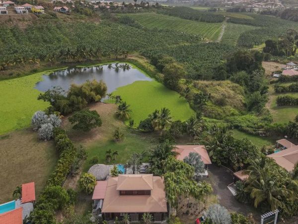 Martinique Villa. Beautifully Appointed Tropical Delight