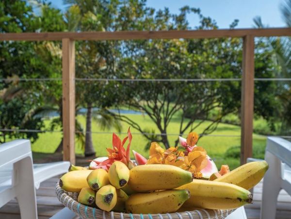 Martinique Home 1027305