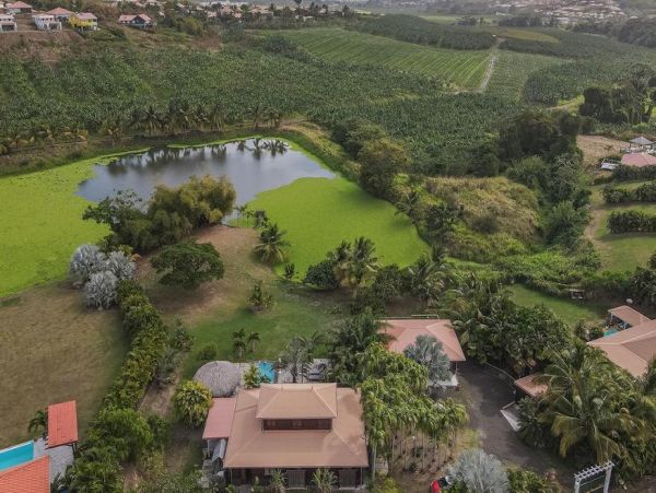 Martinique Home 1027305