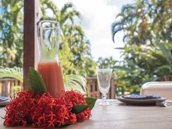 Martinique Home 1027307