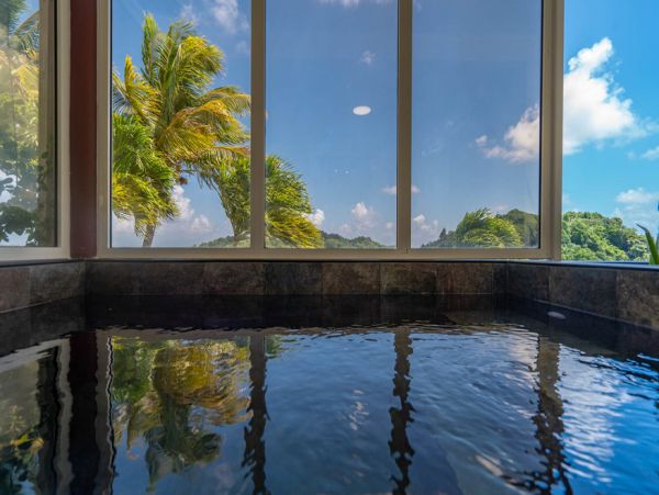 Martinique Home 1027308