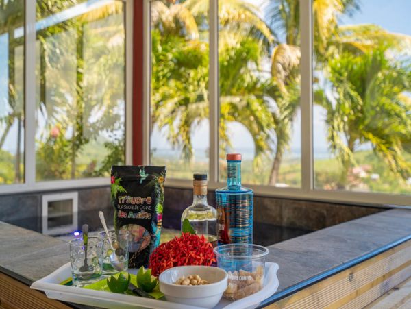 Martinique Home 1027308