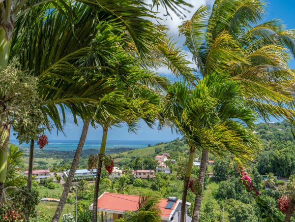 Martinique Home 1027308