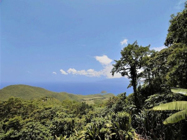 Martinique Home 1027314
