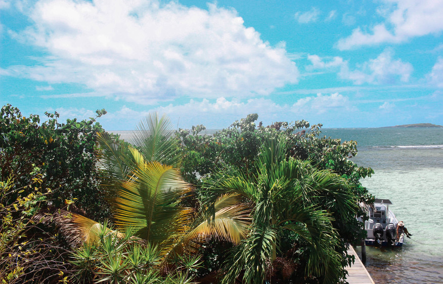 Martinique Home 1027316