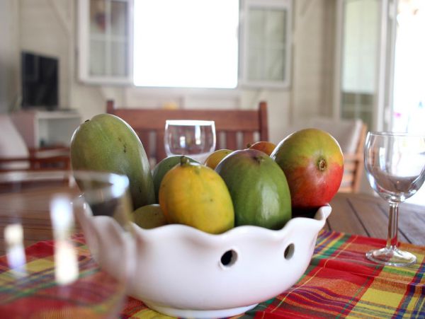 Martinique Home 1027316