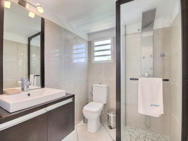 Martinique Private Two Bedroom Luxury Villa Pool