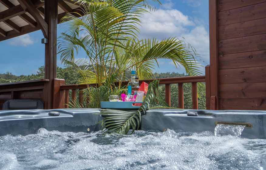 Martinique Home 1027322