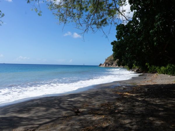 Martinique Home 1027324