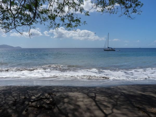 Martinique Home 1027324