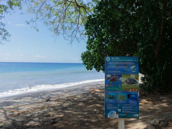 Martinique Home 1027324
