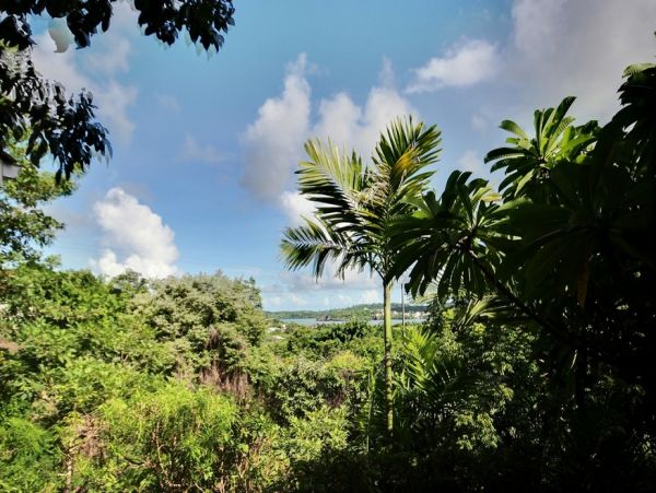 Martinique Home 1027325