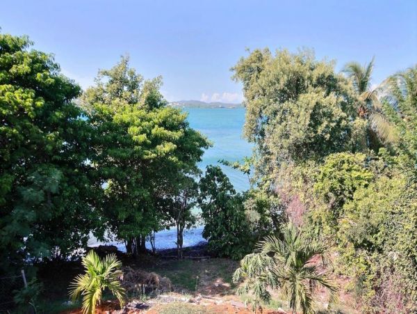 Martinique Home 1027327