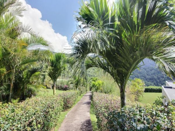 Martinique Home 1027329