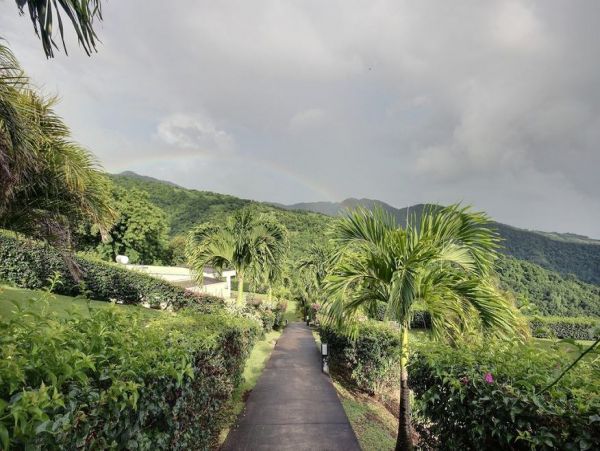 Martinique Home 1027329