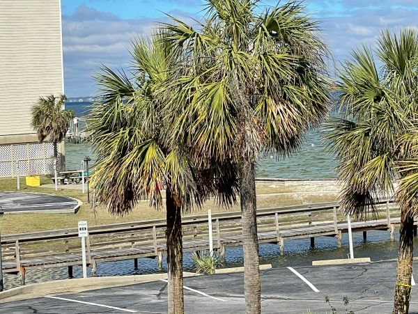Pensacola Beach Condo 1027392