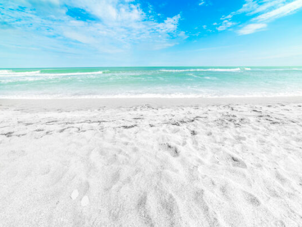 Siesta Key 3 Bedroom Gulf Side Condo with Lush Garden View, Steps to Beach