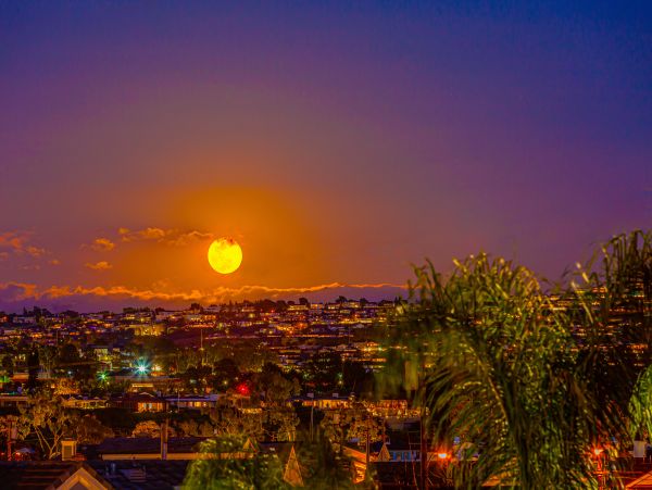 Newport Beach Home 1027538